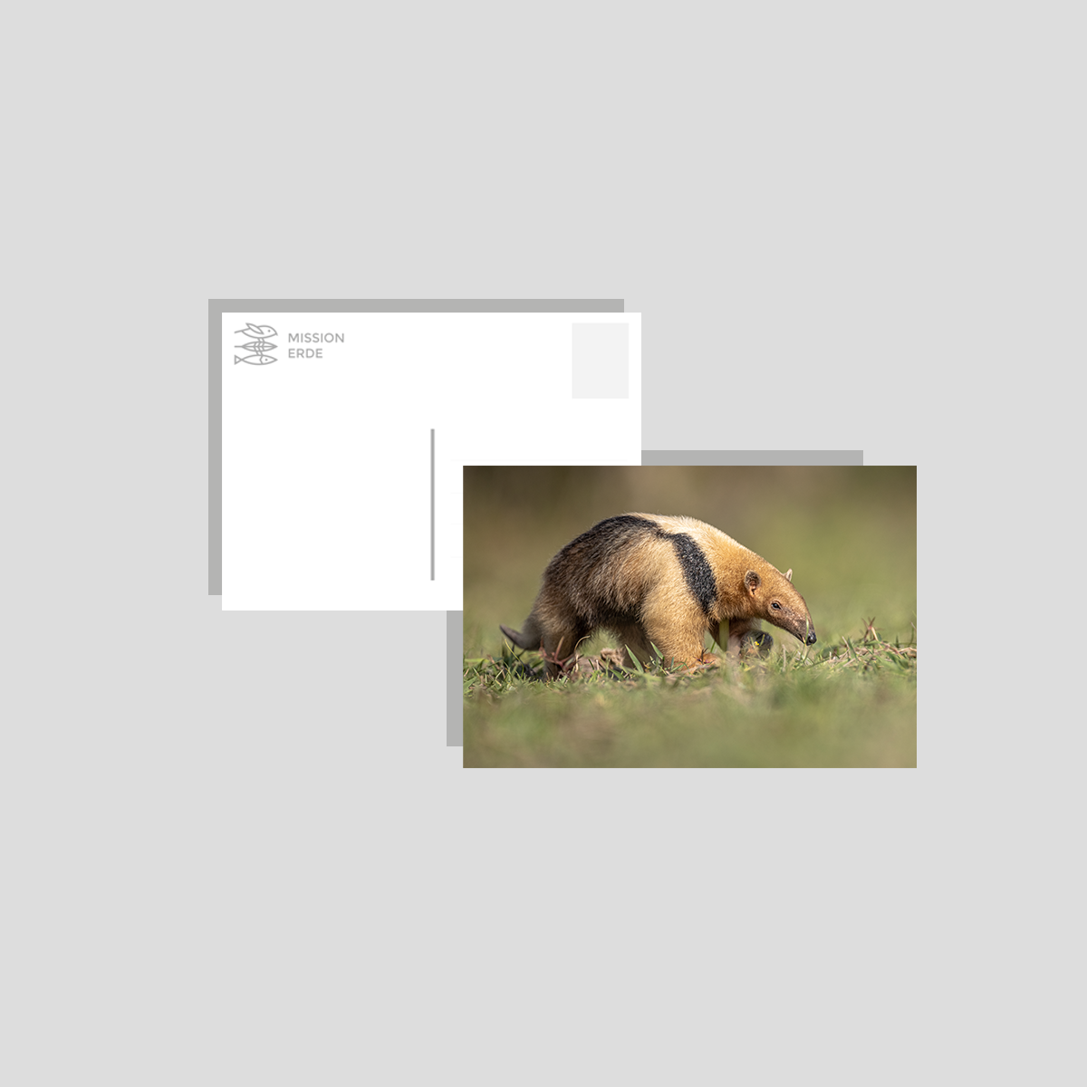 Postkarten/Minibilder 8er Set "Brasilien"