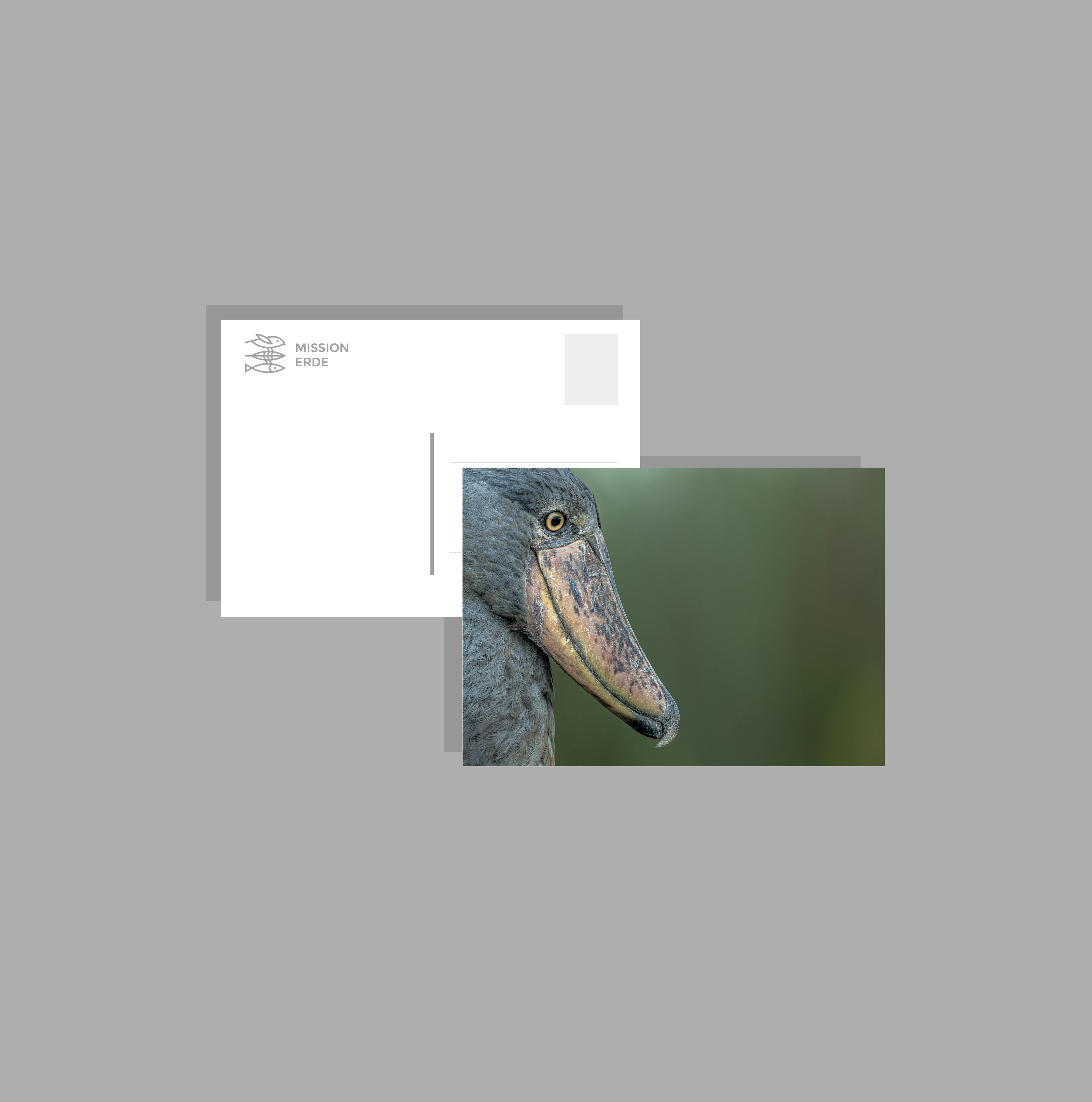 Postkarten/Minibilder 6er Set "Uganda"