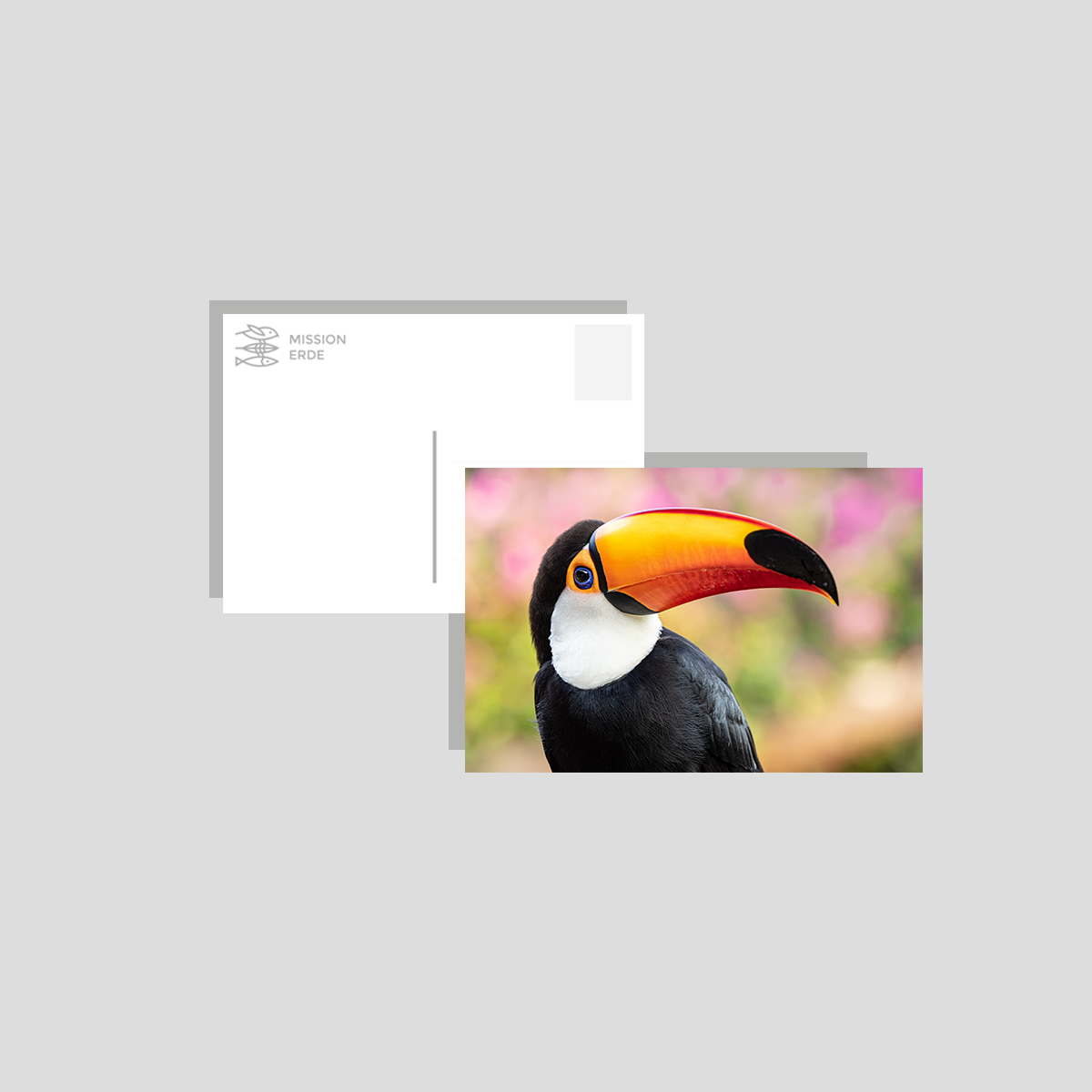 Postkarten/Minibilder 8er Set "Brasilien"
