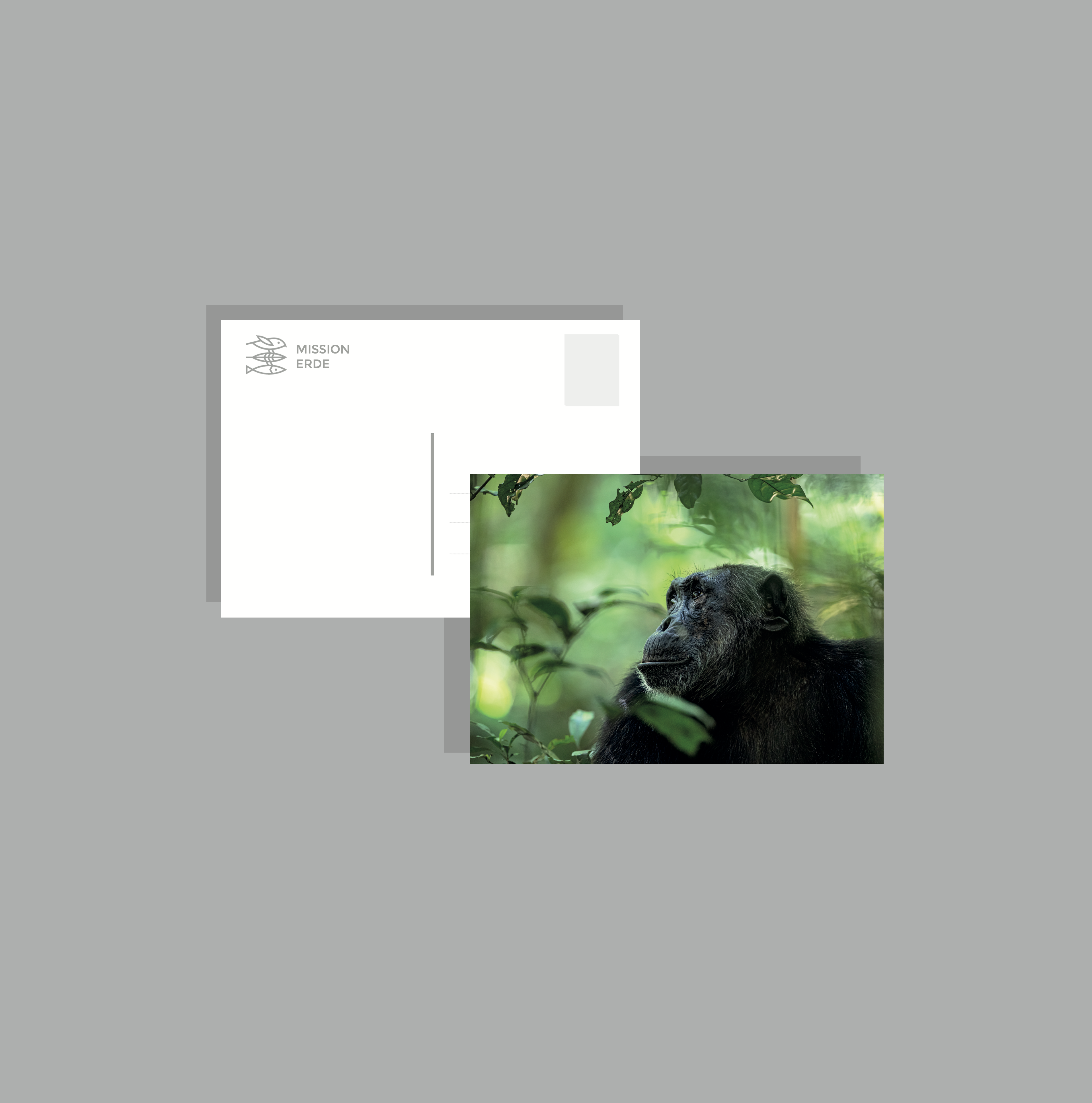 Postkarten/Minibilder 6er Set "Uganda"