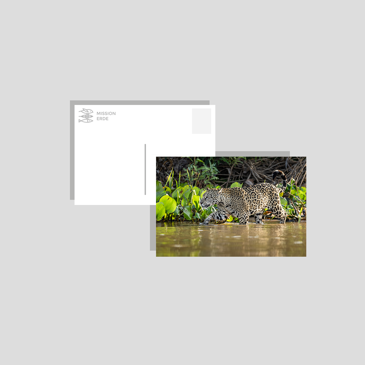 Postkarten/Minibilder 8er Set "Brasilien"