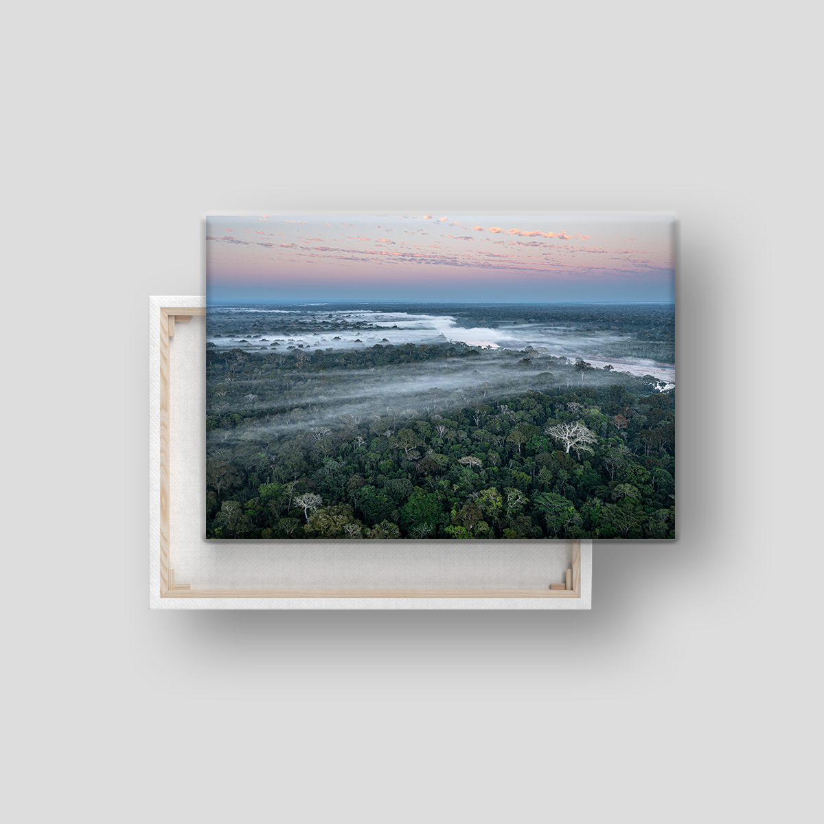 Mission Erde Regenwald (Leinwandprint 60x90cm)