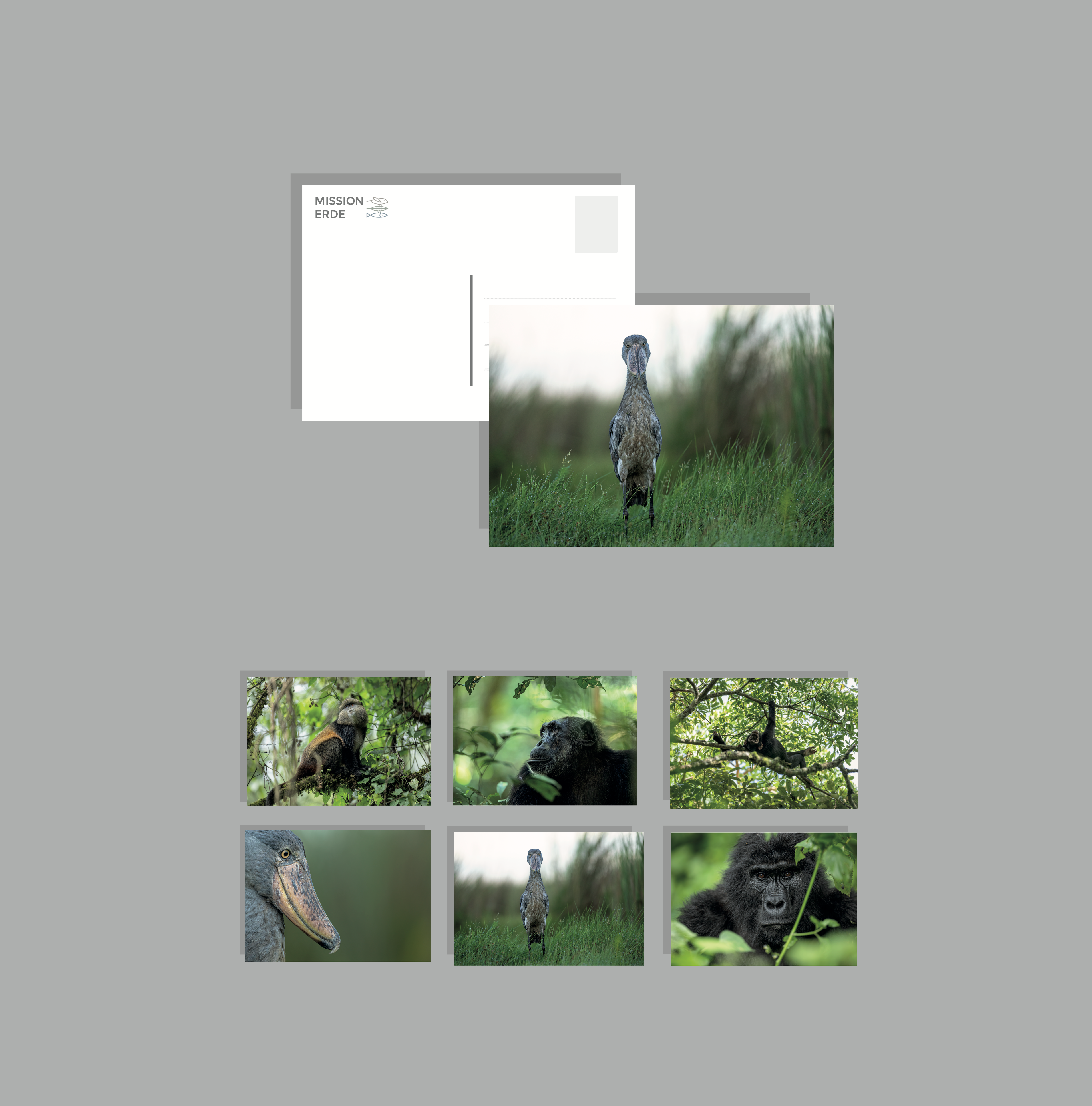 Postkarten/Minibilder 6er Set "Uganda"