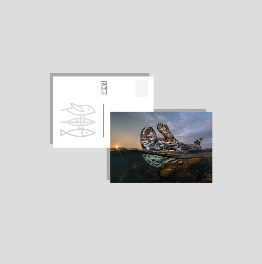 Postkarten/Minibilder 6er Set