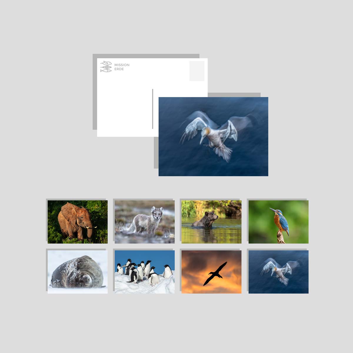 Postkarten/Minibilder 8er Set "Überwasser"