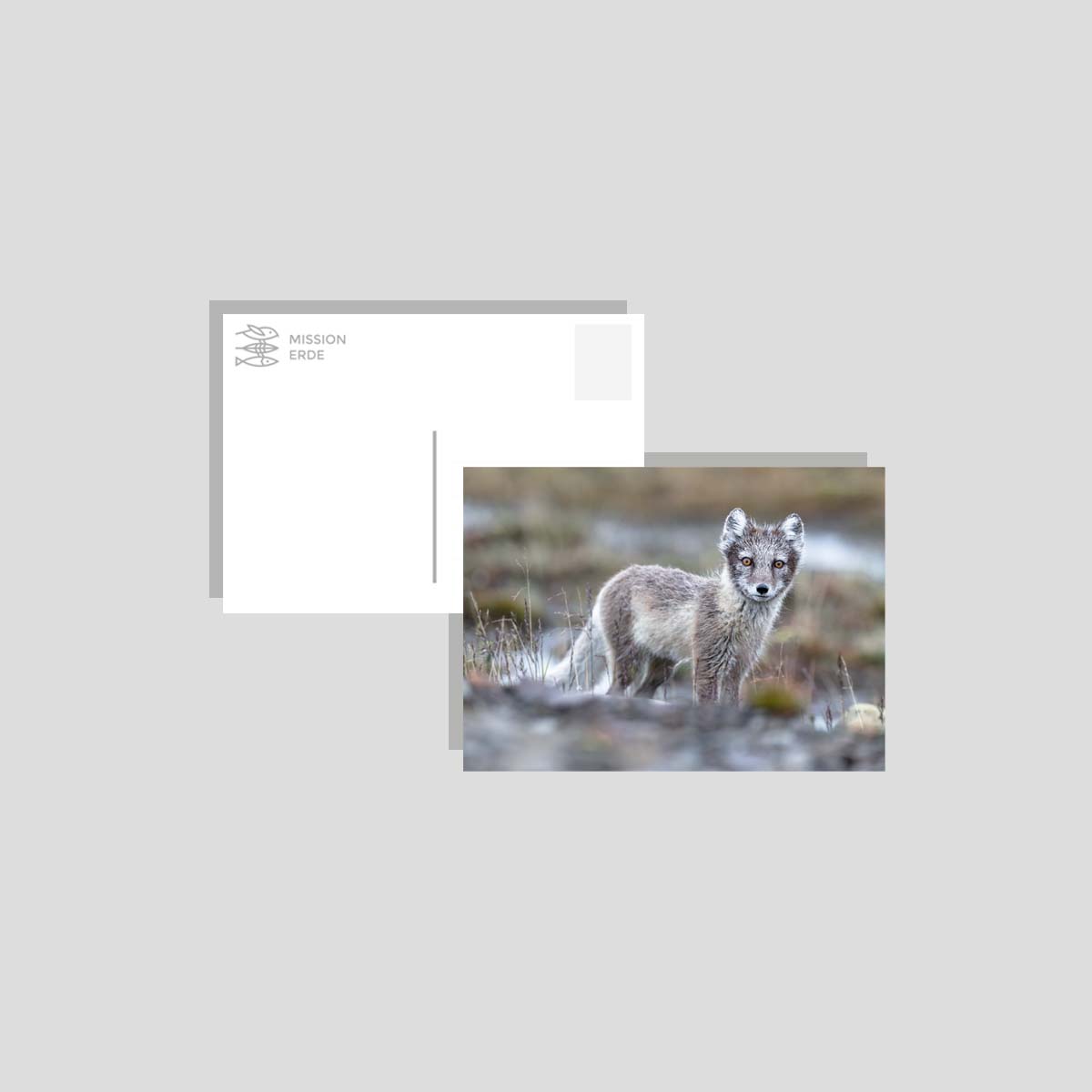 Postkarten/Minibilder 8er Set "Überwasser"