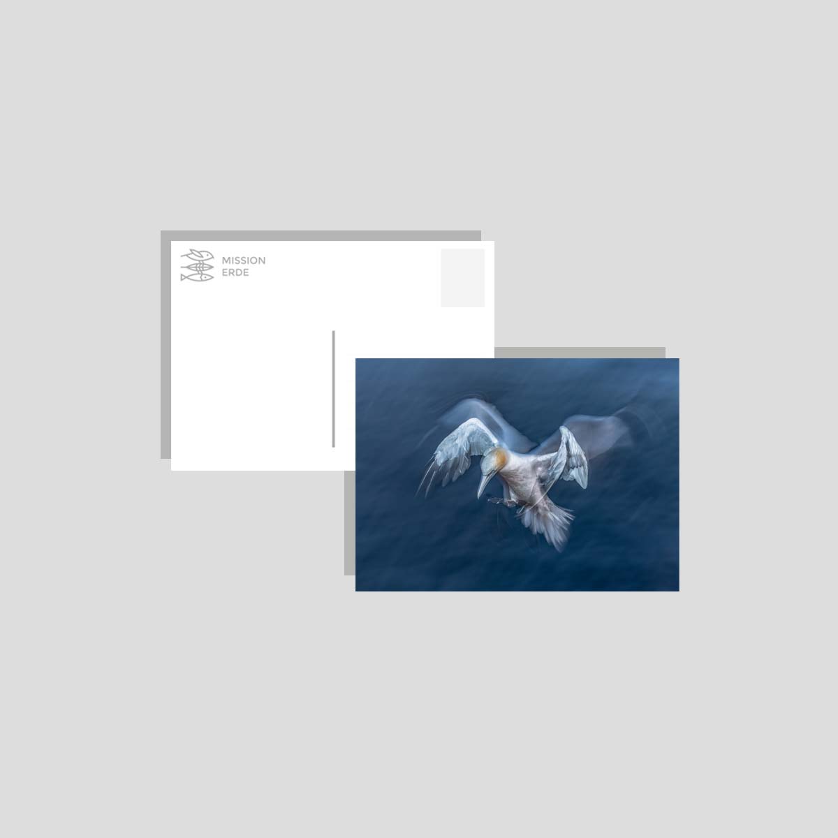 Postkarten/Minibilder 8er Set "Überwasser"