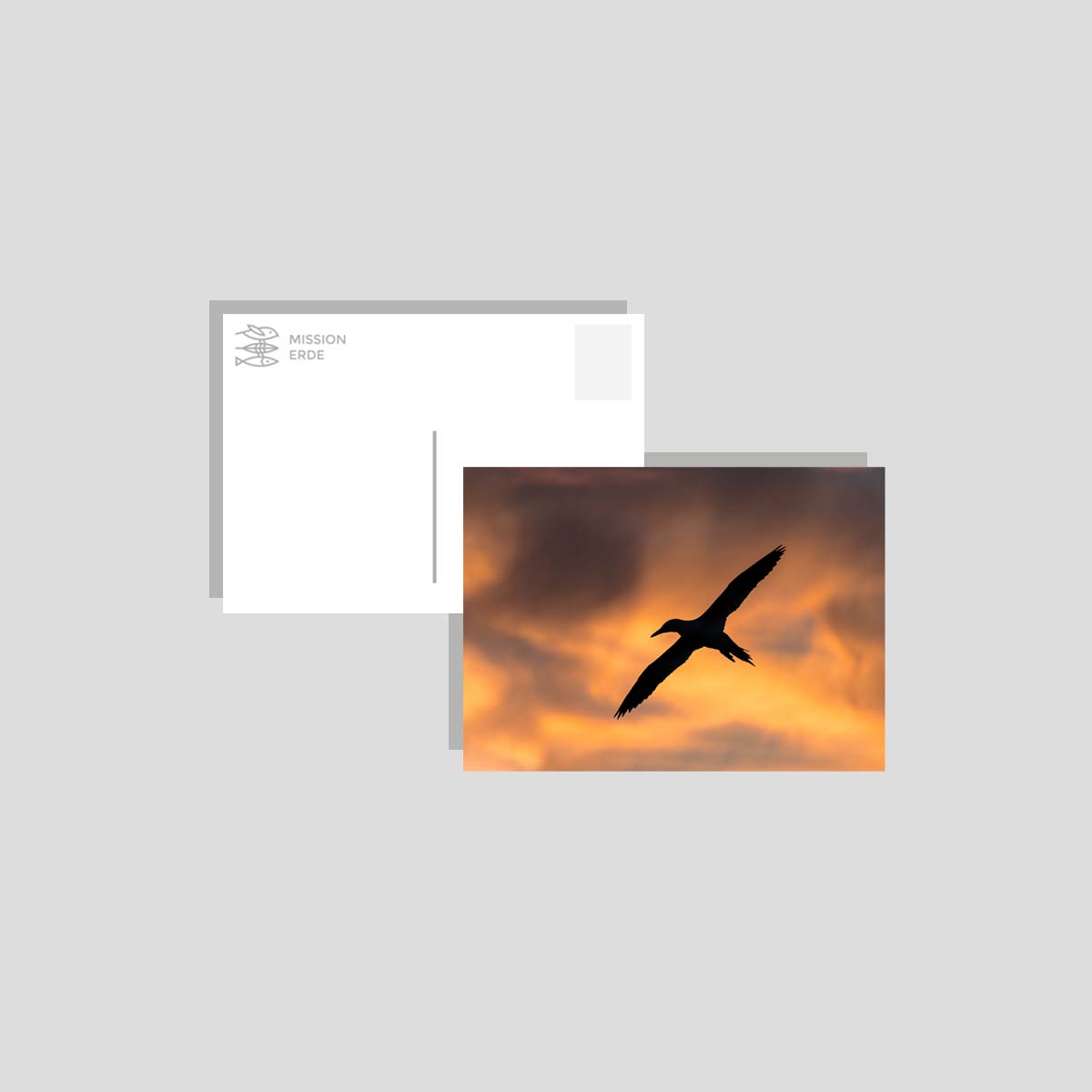 Postkarten/Minibilder 8er Set "Überwasser"