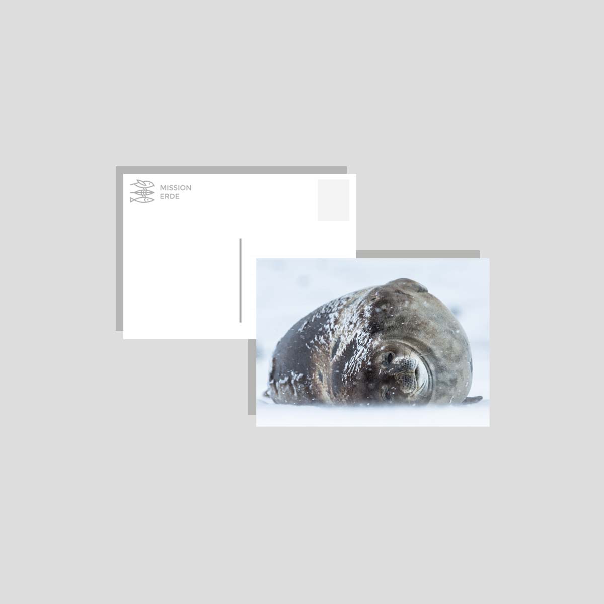 Postkarten/Minibilder 8er Set "Überwasser"