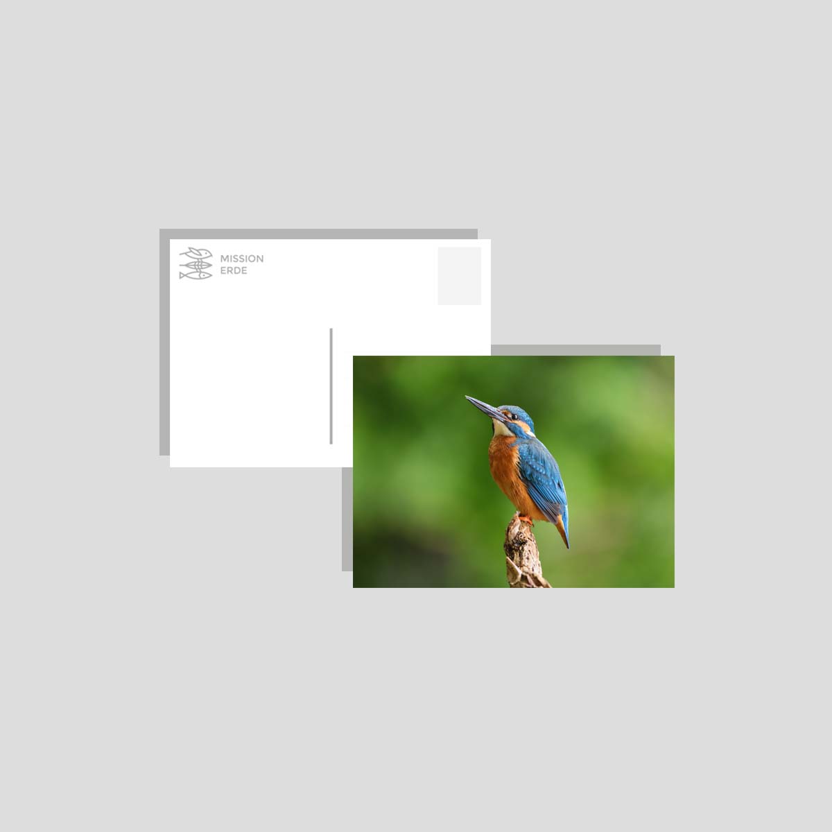 Postkarten/Minibilder 8er Set "Überwasser"