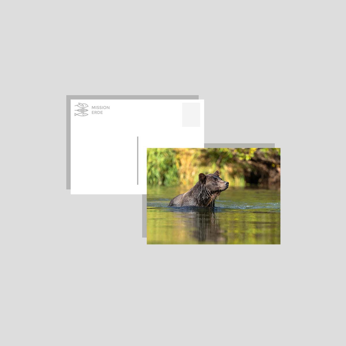 Postkarten/Minibilder 8er Set "Überwasser"