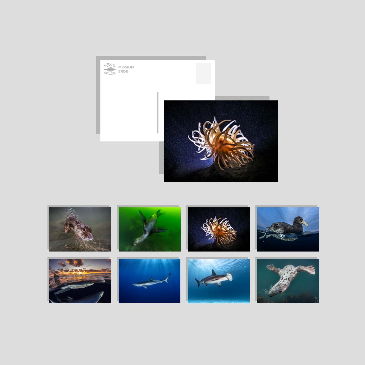 Postkarten/Minibilder 8er Set "Unterwasser"