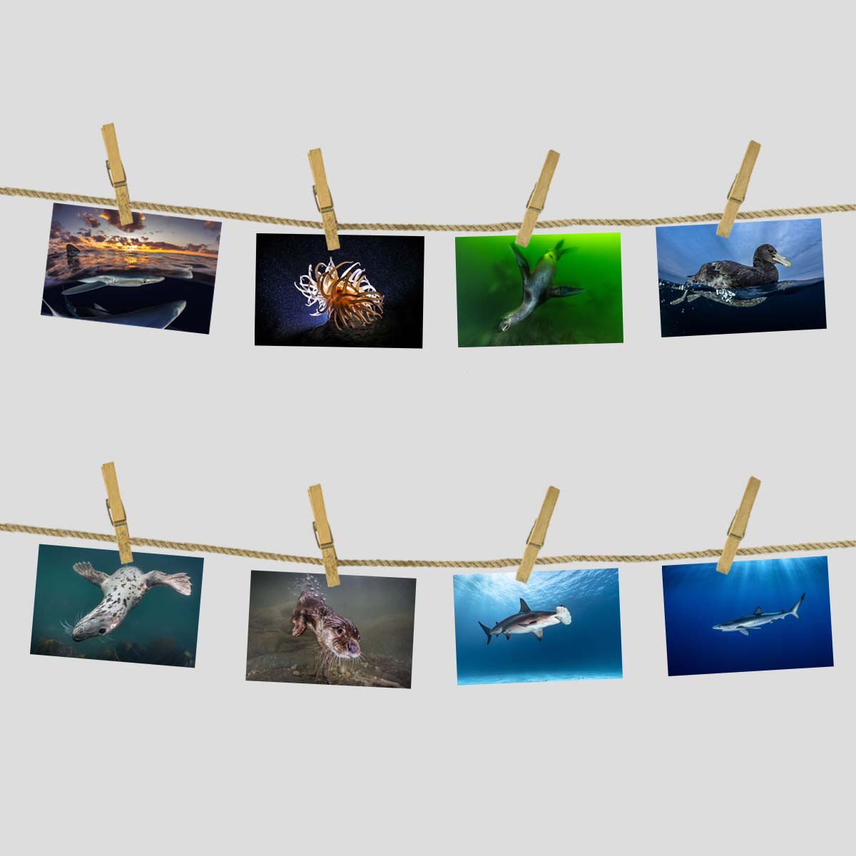 Postkarten/Minibilder 8er Set "Unterwasser"