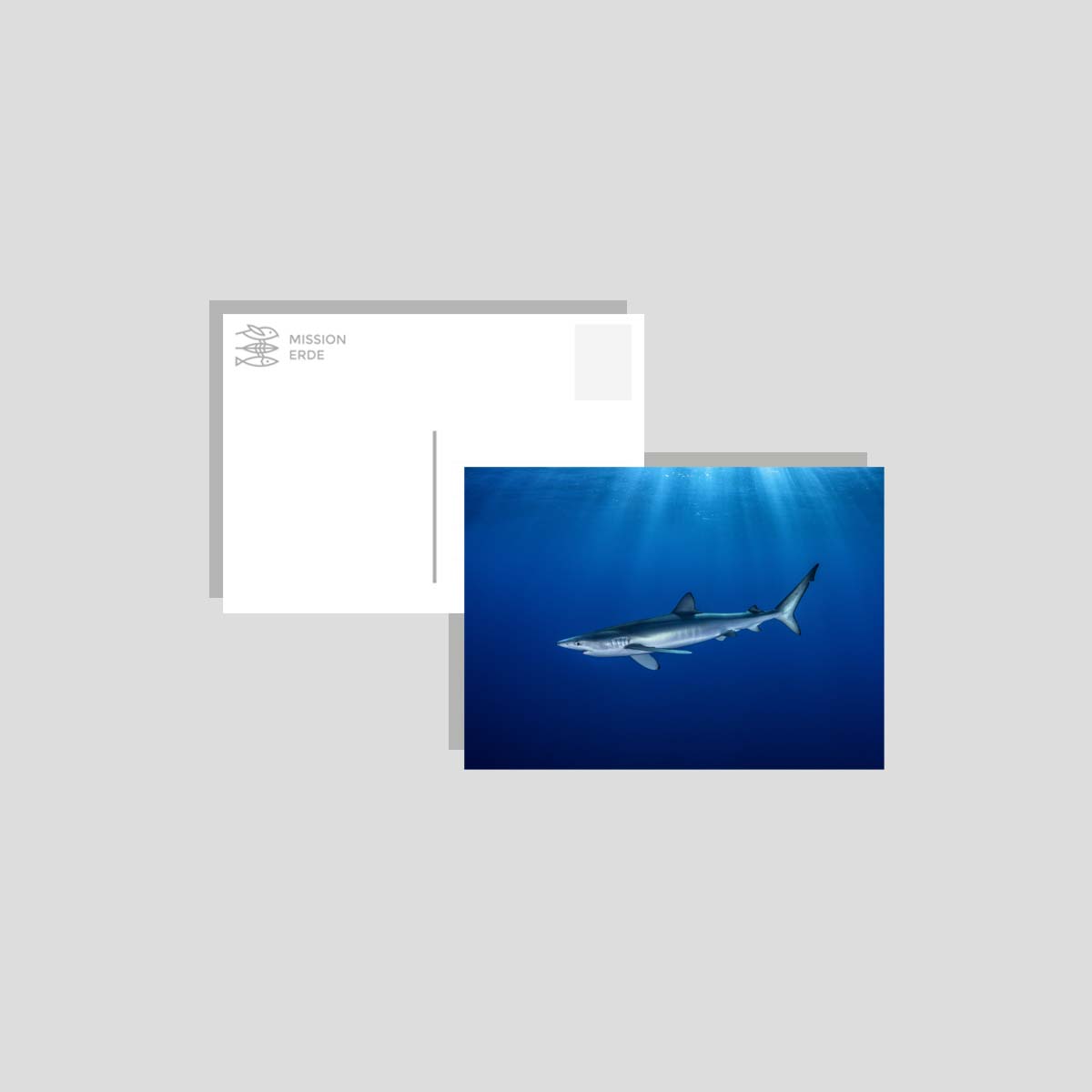 Postkarten/Minibilder 8er Set "Unterwasser"