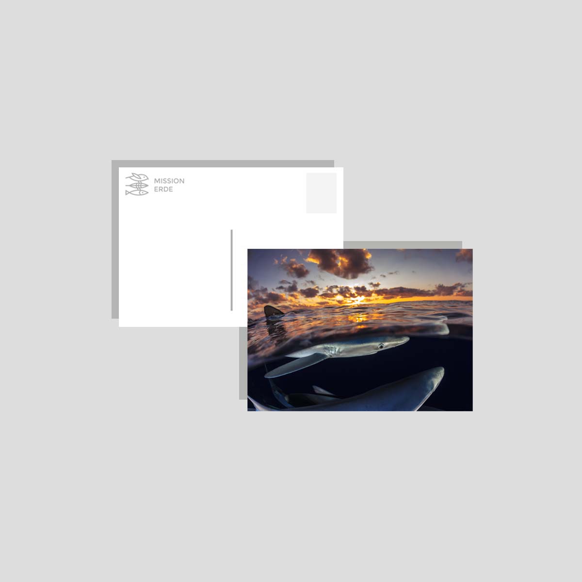 Postkarten/Minibilder 8er Set "Unterwasser"