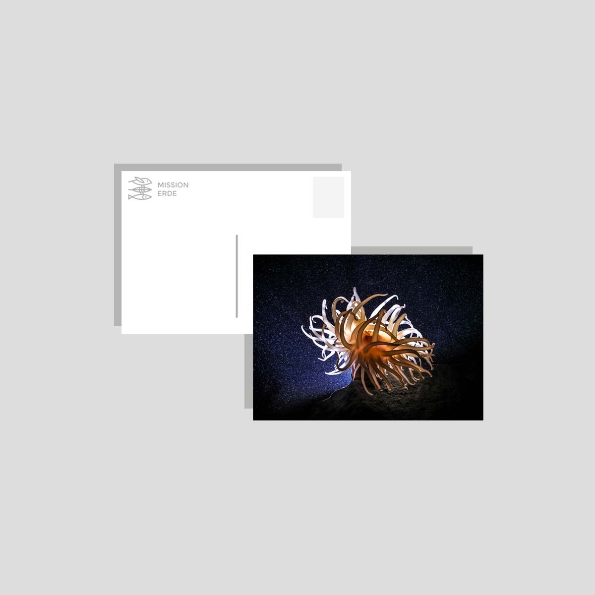 Postkarten/Minibilder 8er Set "Unterwasser"