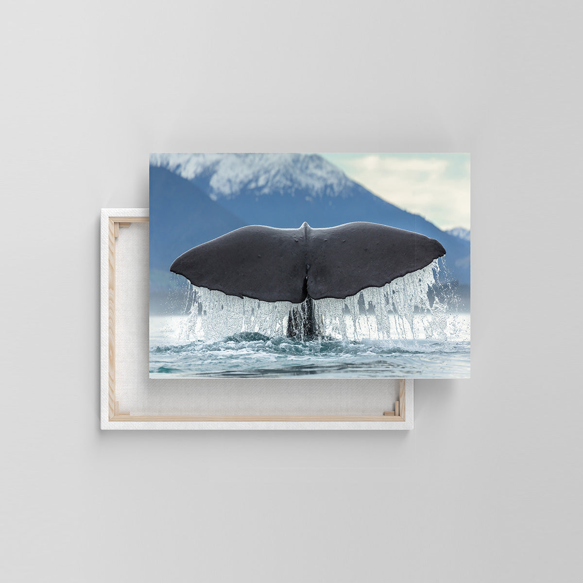 Pottwal-Fluke (Leinwandprint 60x90cm)