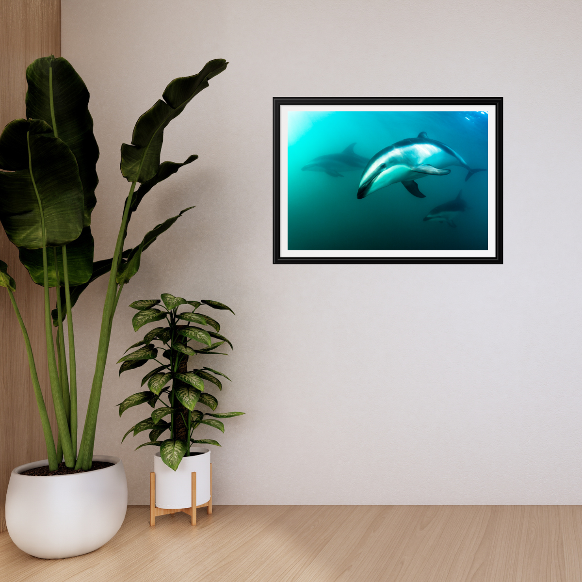 Delfin (Fine Art Print 30x45cm)
