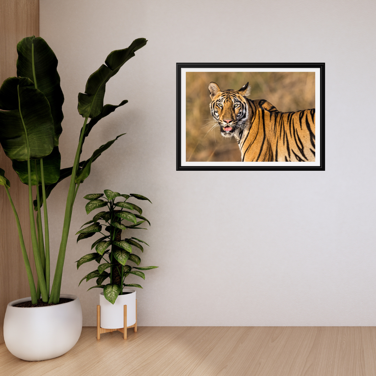 Königstiger (Fine Art Print 30x45cm)