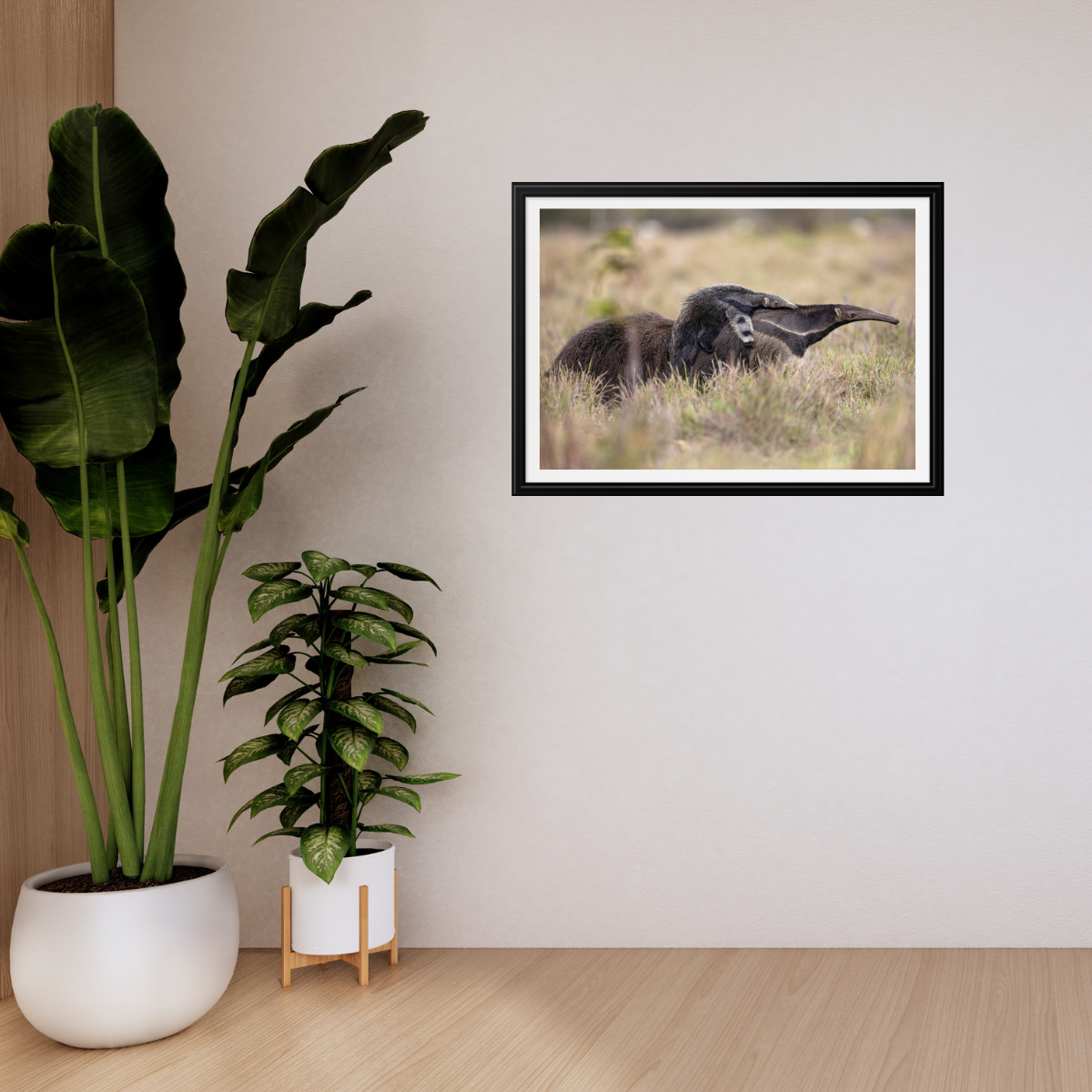 Ameisenbär (Fine Art Print 30x45cm)