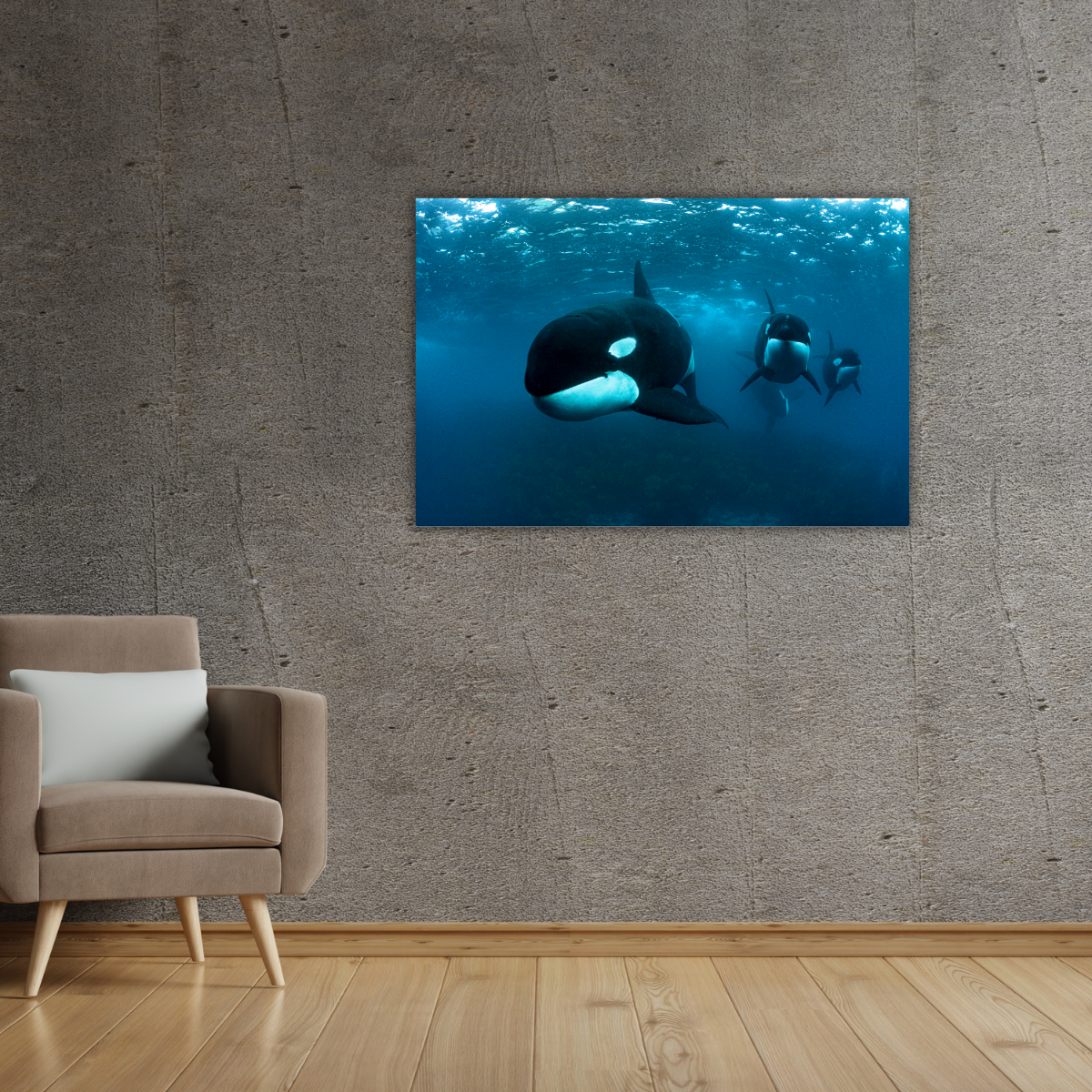 Orca (Leinwandprint 60x90cm)