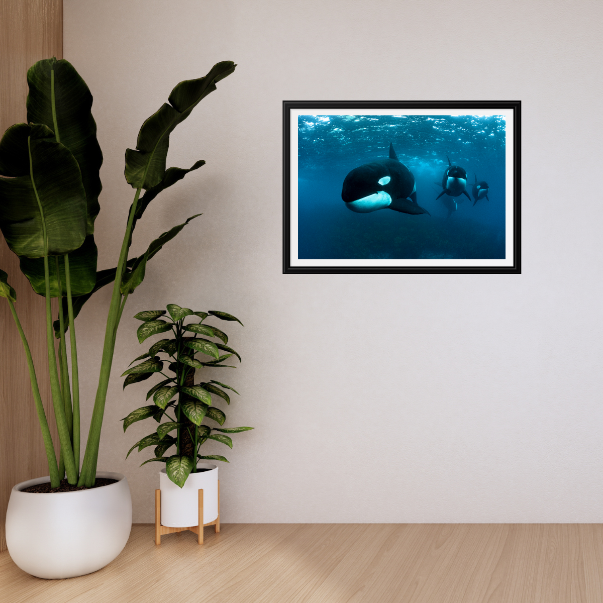 Orca (Fine Art Print 30x45cm)