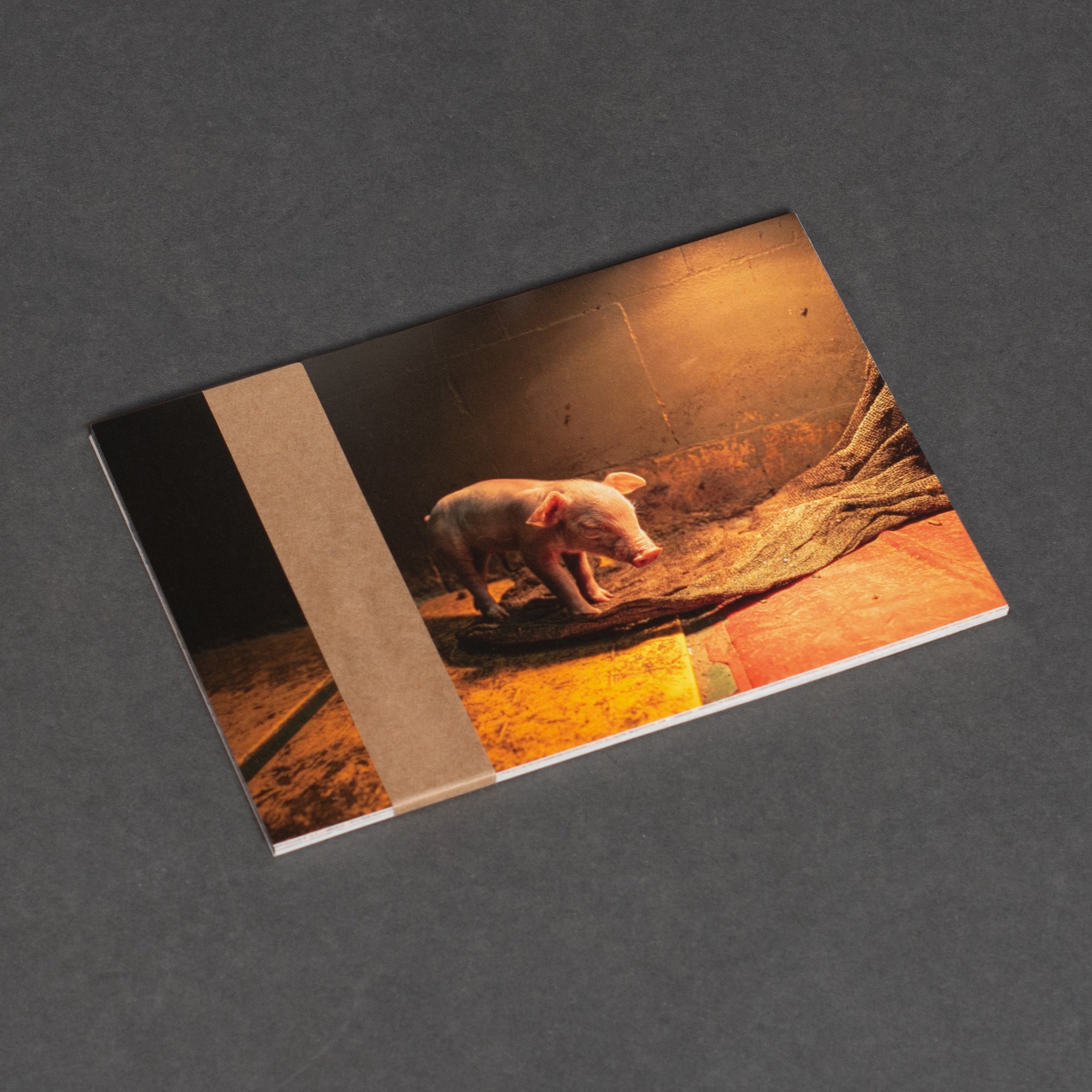 Missions Karten Set "Reminder"