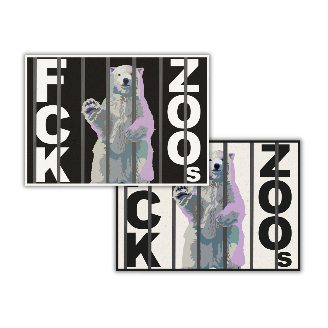 Postkarte "FCK ZOOs" Eisbär