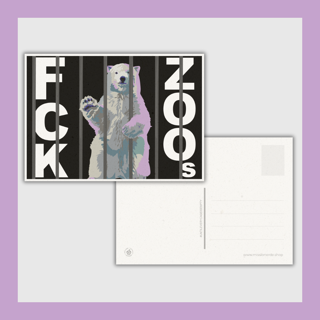 Postkarte "FCK ZOOs" Eisbär