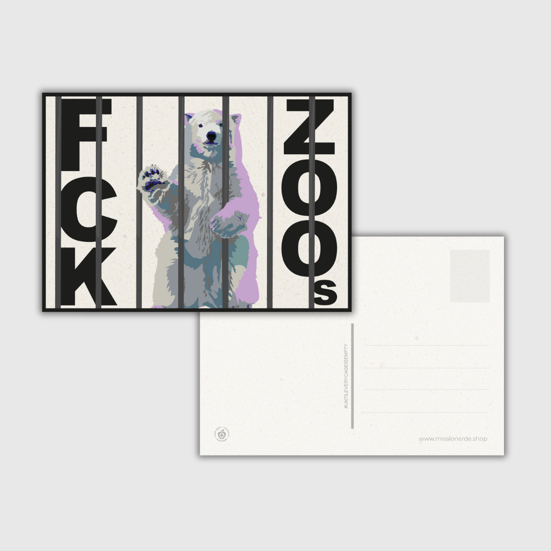 Postkarte "FCK ZOOs" Eisbär