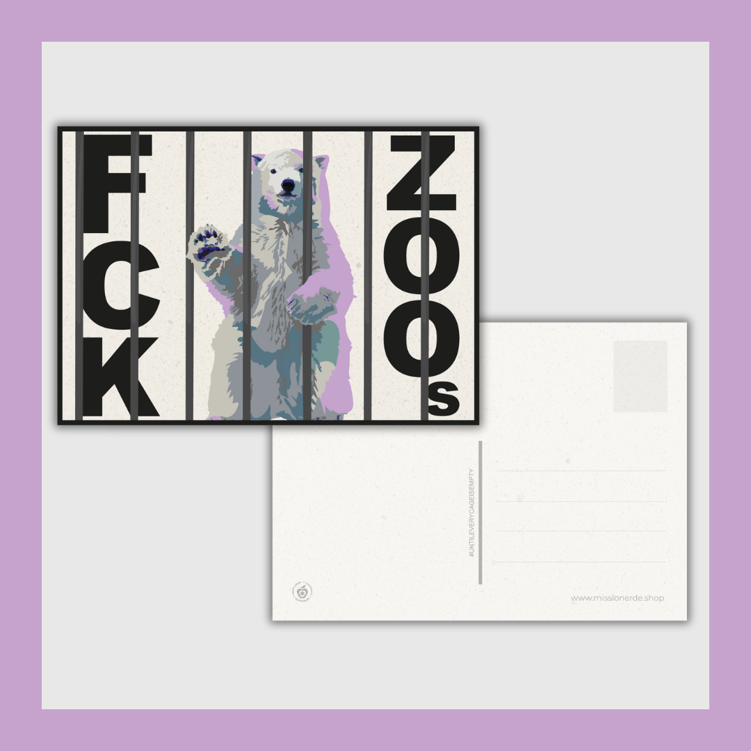 Postkarte "FCK ZOOs" Eisbär