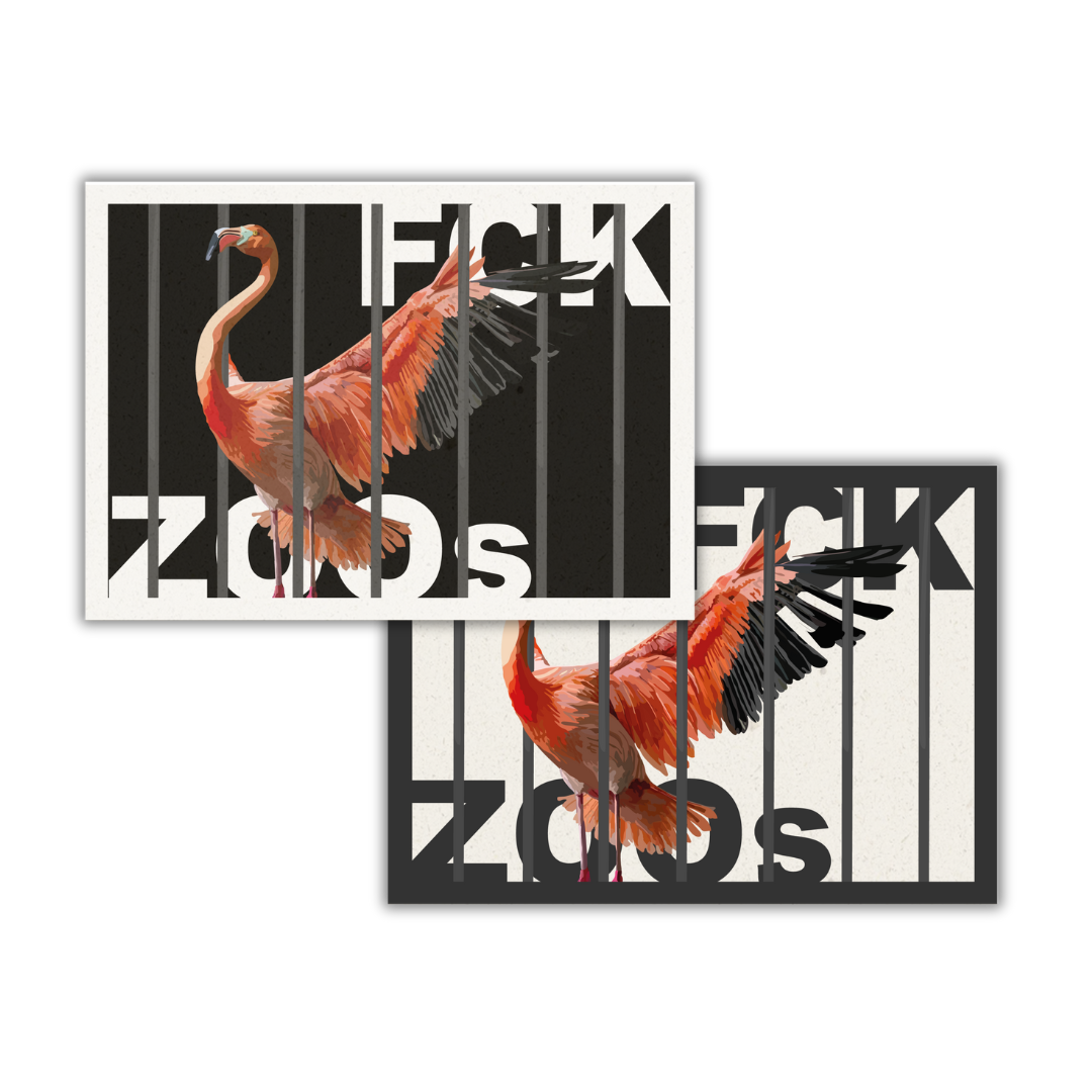 Postkarte "FCK ZOOs" Flamingo
