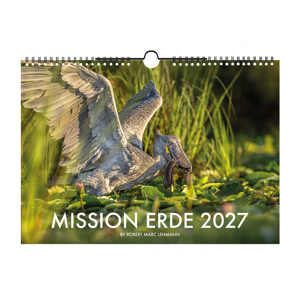 Mission Erde Kalender 2027