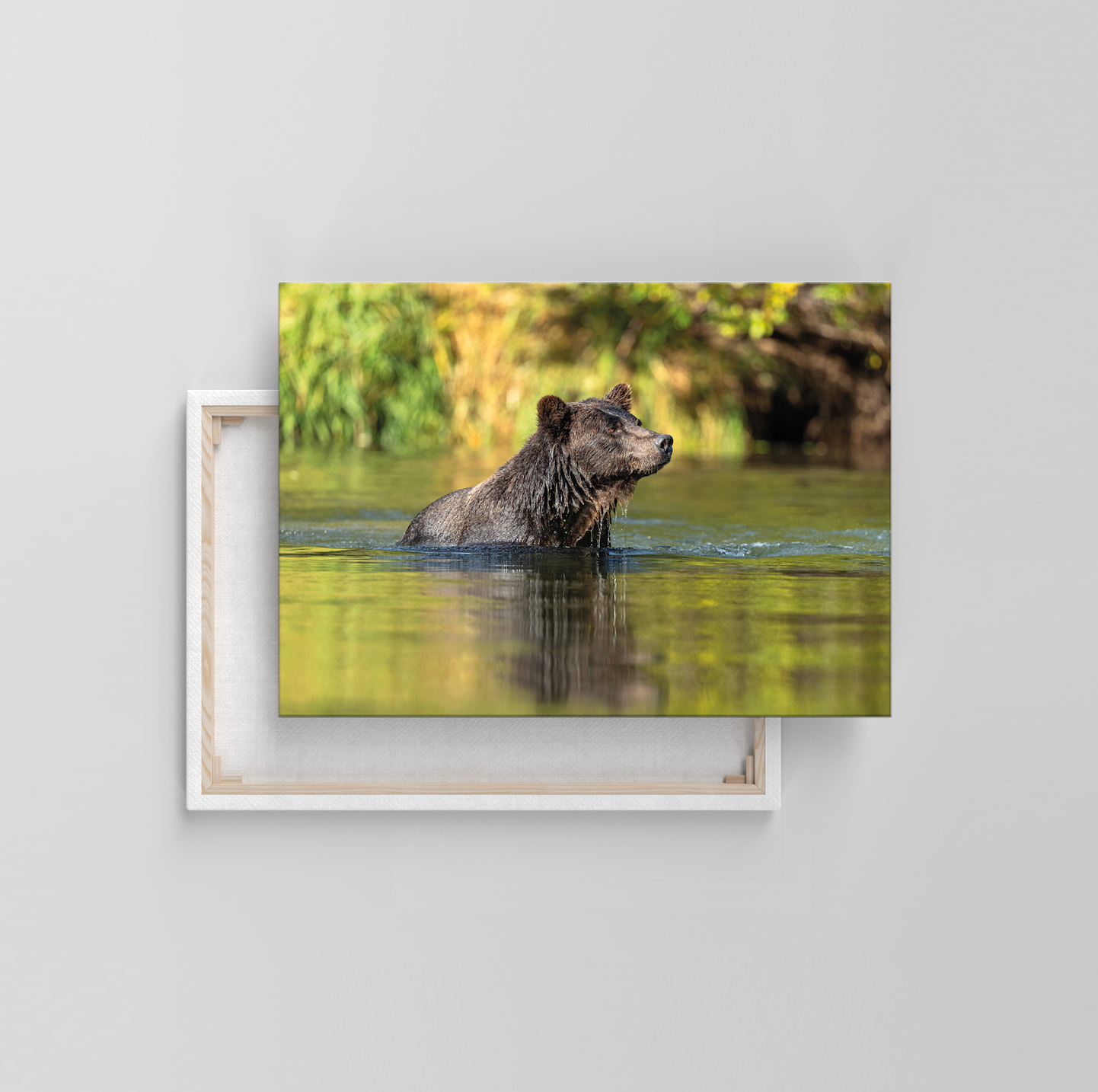 Bär (Leinwandprint 60x90cm)