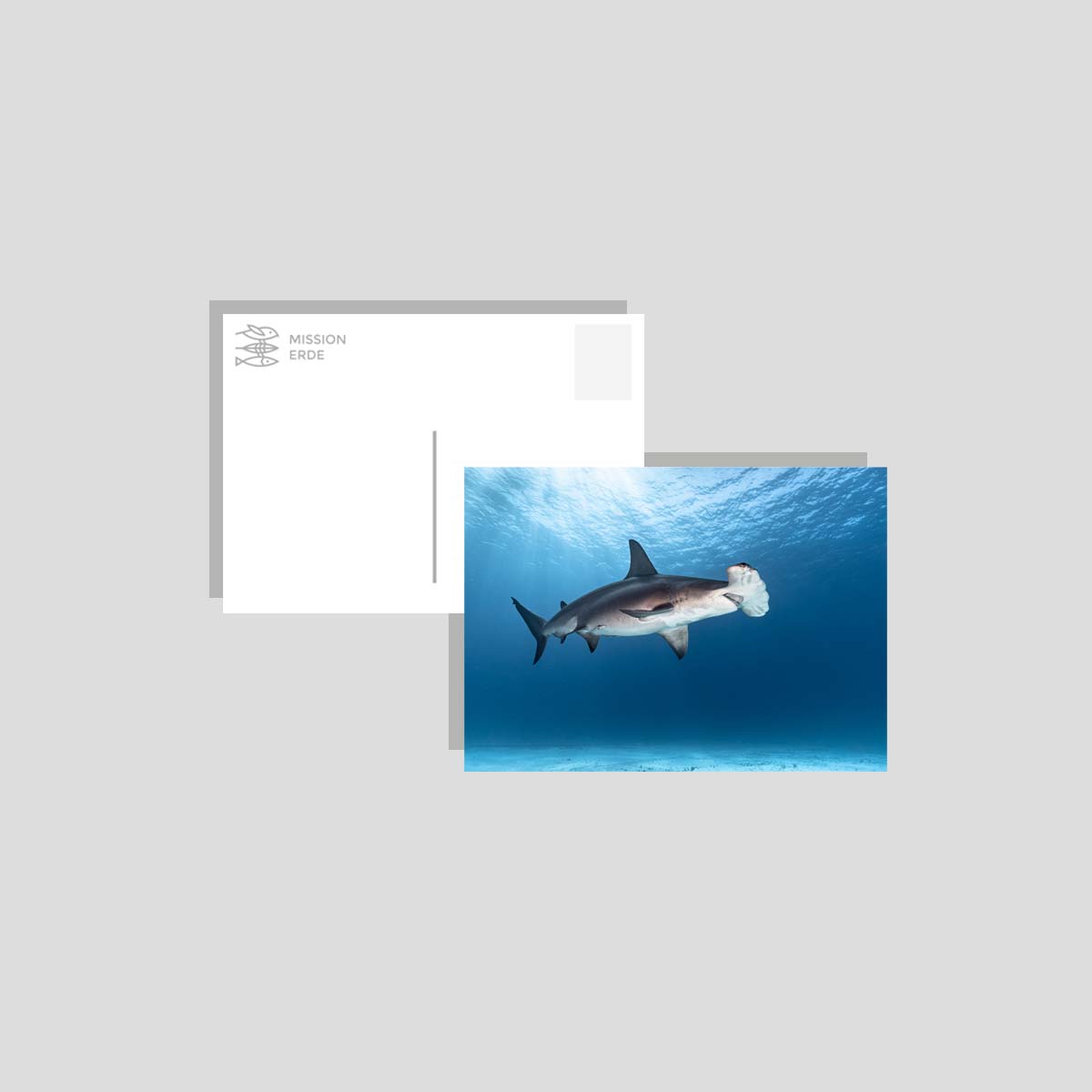 Postkarten/Minibilder 8er Set "Unterwasser"